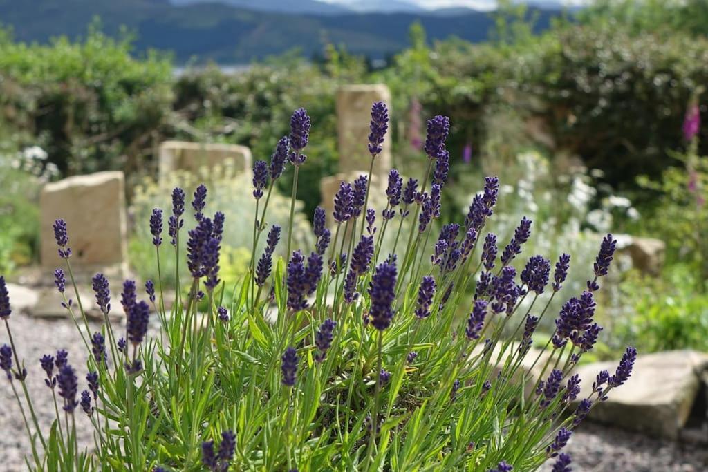 Stylish Scottish Manor, Coillemore House Kyle of Lochalsh Eksteriør billede